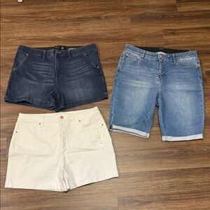Women's Denim and Cotton Shorts Lot- Size 16